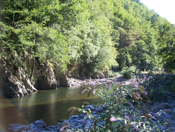  Image name: Fiume40.jpg 
 width: 601 pixel 
 height: 452 pixel 
 Size: 343570 bytes 
 Click to enlarge 